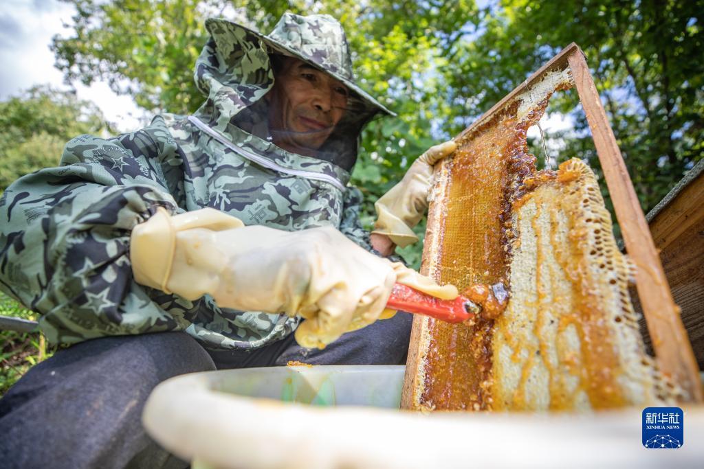 秦皇岛捕鱼